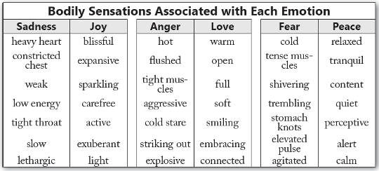 The definition and understanding of the emotions lust anger sadness happiness and love
