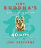 Panduan Buddha Tiny untuk Mencintai Diri Sendiri oleh Lori Deschene