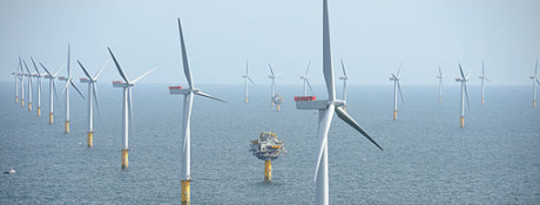 Offshore Wind Turbines Get Approval Of The Seal Community