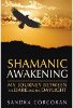 Shamanic Awakening: My Journey between the Dark and the Daylight by Sandra Corcoran.