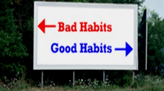 Habits Are Learned: How to Choose Them Wisely