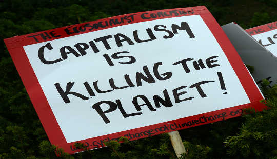 It Is Capitalism That Must Evolve To Solve The Climate Crisis