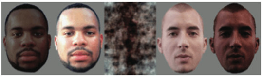 Darker faces elicited more amygdala activity when white subjects were fMRI scannned. The effect of skin tone on race-related amygdala activity: an fMRI investigation, Ronquillo (2007), Author provided