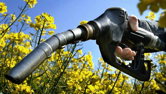 Why Biofuels Turn Out To Be A Climate Blunder