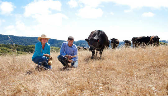 How California Ranchers Use Dirt to Tackle Climate Change