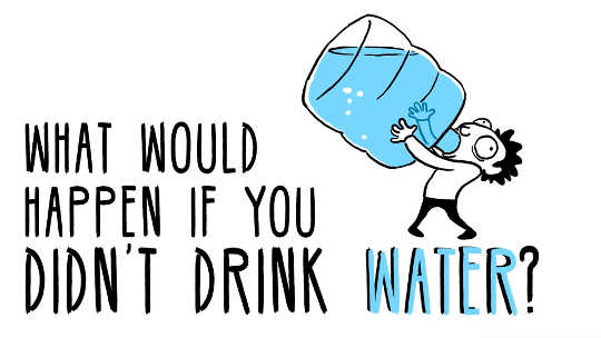 Just A Slight Thirst Could Affect Your Brain