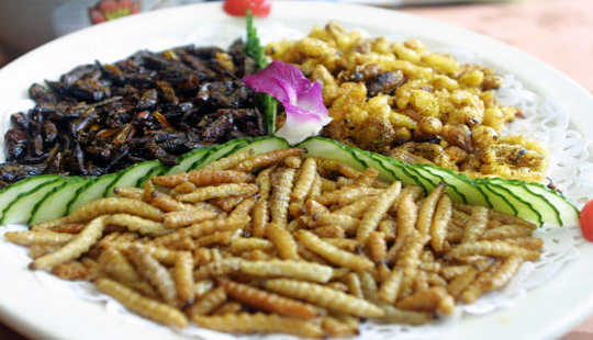 What Is It That Puts People Off Eating Insects?