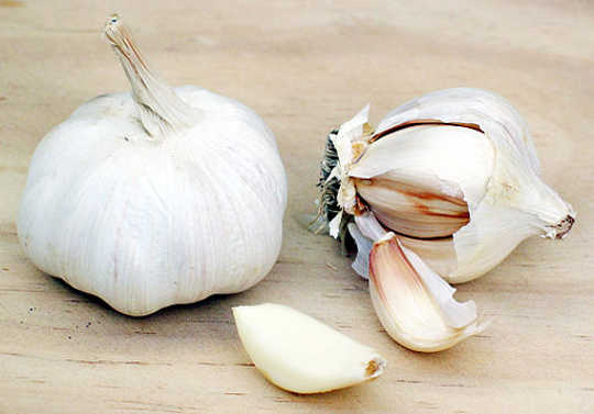 garlic 9 28