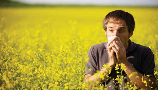 What's The Link Between Hay Fever And Asthma, And How Are They Treated?