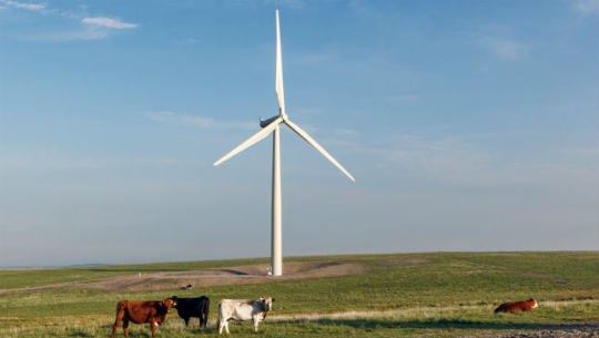 How Iowa Became the Nation’s Leader in Wind Energy