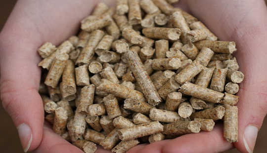 Wood is turned into ‘pellets’ before being shipped away and eventually burnt. Andrew_Writer, CC BY