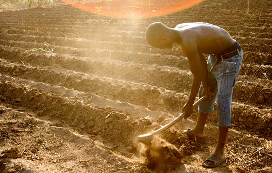 Managing Water Is Key To Adapting African Agriculture To Climate Change