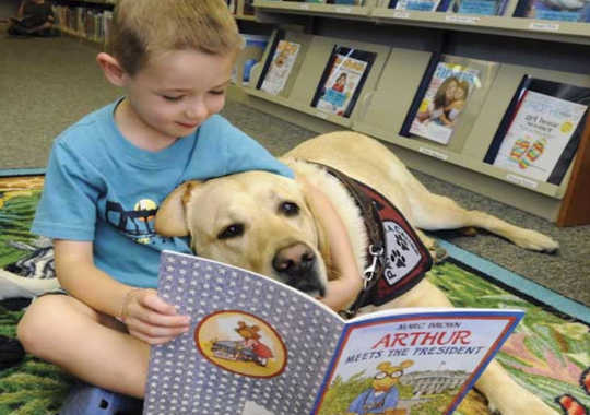 How Dogs Could Make Children Better Readers