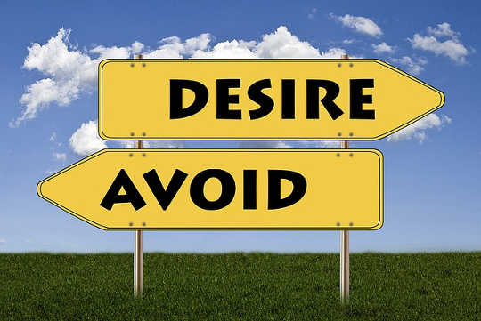 Fulfilling Your Desires: Asking The Right Questions