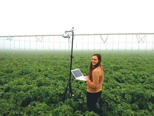 How Artificial Intelligence Is Changing the Way We Farm