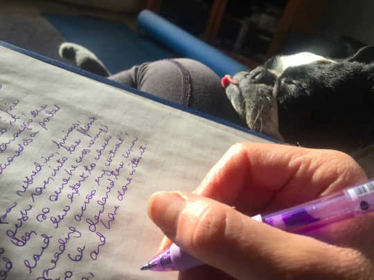 Someone takes notes with their dog's head resting on their lap.
