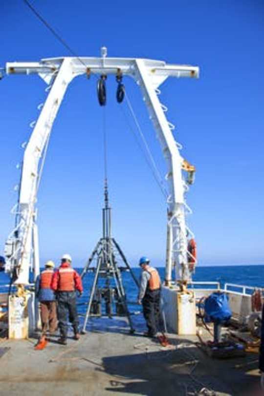 Seabed Fossils Show The Ocean Is Undergoing A Change Not Seen For 10,000 Years