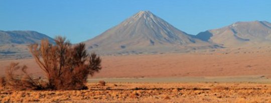 Desert Yields Clues To Species Survival