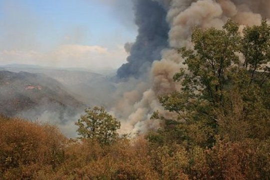 Temperature Rise Will Fan Forest Flames