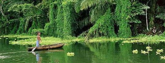 Panamanians Reject UN Forest Plan