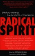 Radical Spirit, edited by Stephen Dinan.