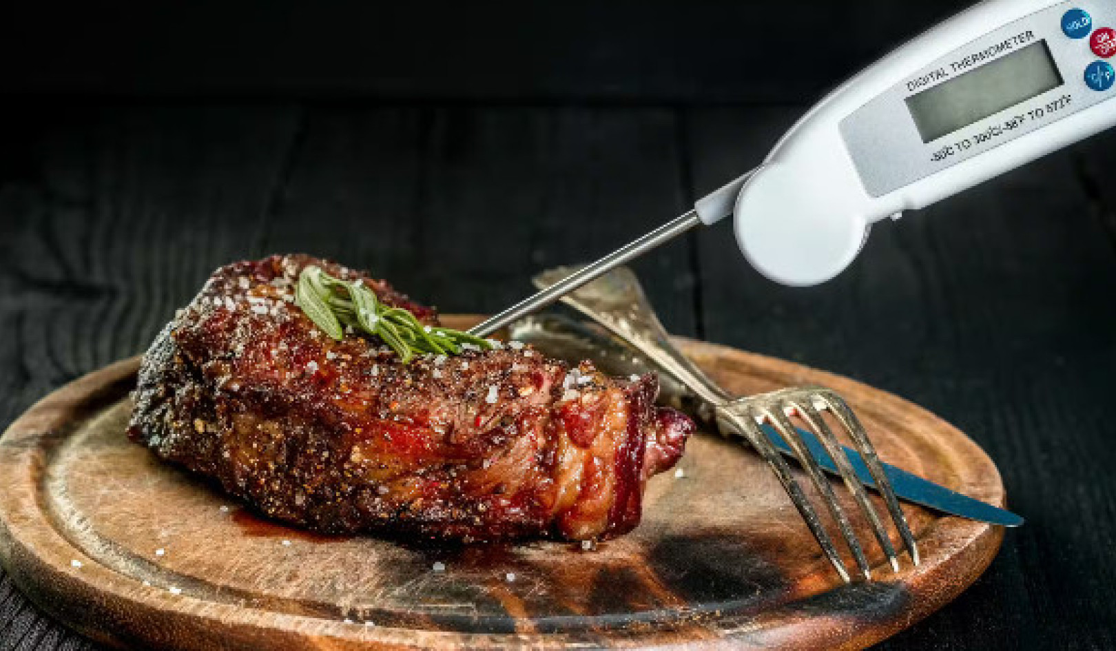 From Roast to Right: Food Thermometer Tips for a Safe Feast