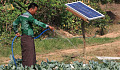 How Solar Energy Powers Sustainable Solutions