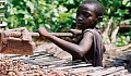 Bitter Beans: Is Your Coffee Produced by Child Slaves?