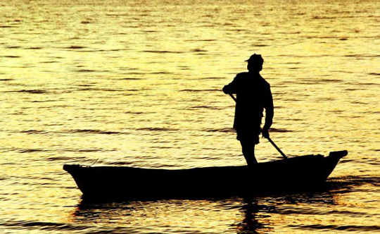 Balıkçı ve İş Adamı