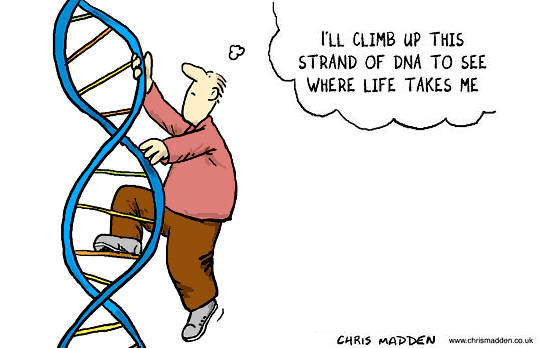 Bagaimana Untuk Menyembuhkan DNA Kita Dengan Bantuan Diri Kita Yang Terlampau