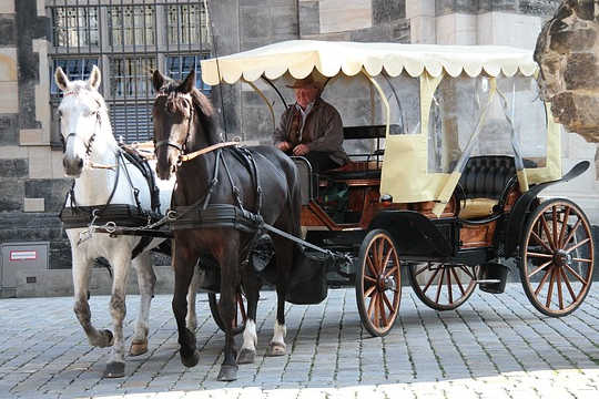 생활 경로 은유 : 2 마리의 말, 마차, 운전사 및 여객