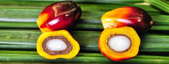 Palm Oil Is Not Necessarily The Evil We Think It Is