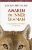 Awaken the Inner Shaman: A Guide to the Power Path of the Heart by José Stevens, Ph.D.
