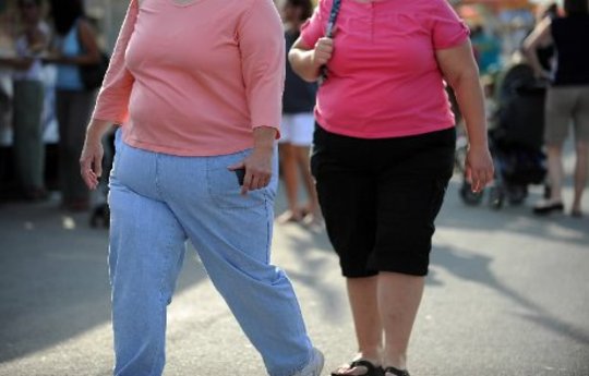Complexity of Obesity and Holistic Weight Control
