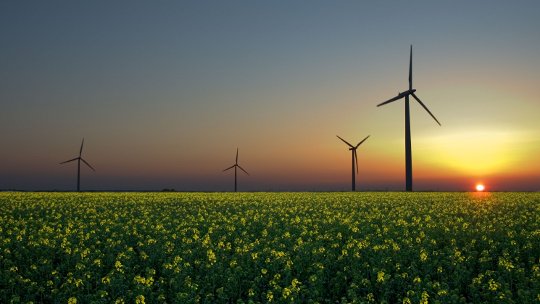 The Smart Money Is Embracing Renewable Energy