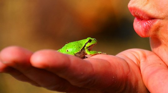 The Secret of a Great Marriage: From a Frog to a Prince?
