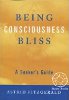 Being Consciousness Bliss: A Seeker's Guide by Astrid Fitzgerald. 