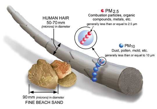 Size comparisons for PM particles. U.S. Environmental Protection Agency