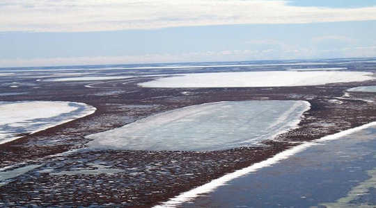 Permafrost below shallow lakes such as these on Alaska’s coastal plain is thawing as a result of changing winter climate. Image: Christopher Arp, University of Alaska Fairbanks