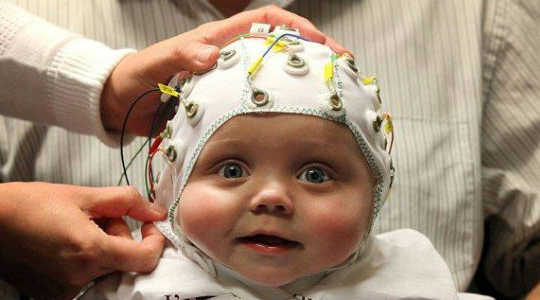 Brain Scans Dispel Theory About Stimuli And Autism