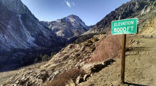Low precipitation and record high temperatures left Tioga Pass, in California’s Sierra Nevada, nearly snowless in January 2015. Image: Bartshé Miller