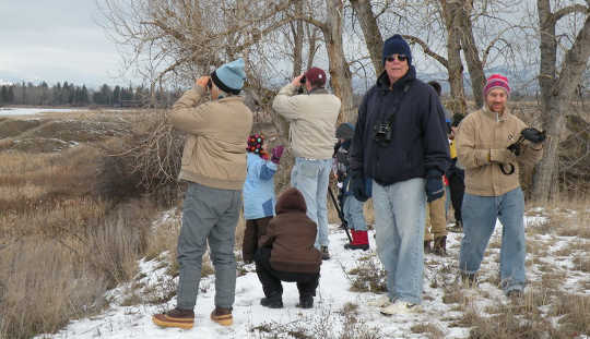 Since 1900 the Audubon Society has sponsored its annual Christmas Bird Count, which relies on amateur volunteers nationwide. USFWS Mountain-Prairie, CC BY