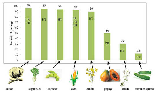 Genetically modified crops currently grown in the United States (IR=insect resistant, HT=herbicide tolerant, DT=drought tolerant, VR=virus resistant). Colorado State University Extension