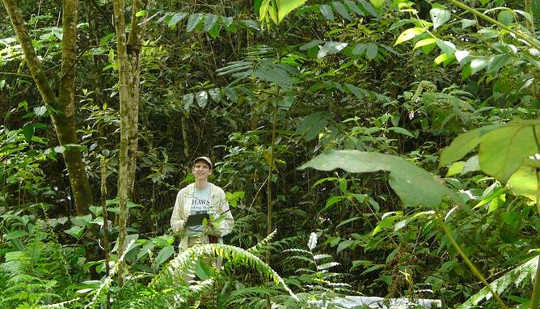  Dr. Letcher in a 15-year-old secondary forest in Costa Rica. Susan G. Letcher