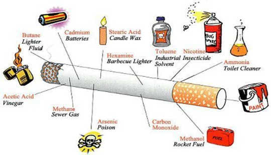 Smoking Harms Both Your Physical Health And Mental Health