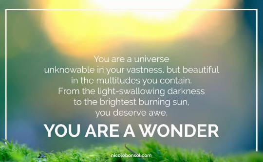 you are a wonder