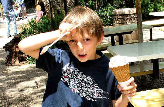 Does Your Brain Really Freeze When You Eat Ice Cream Too Fast?