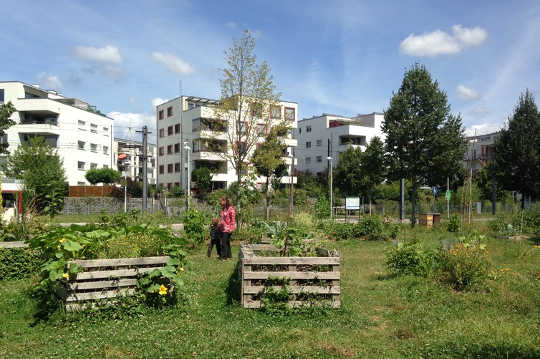 What's The Best Way To Deliver Enough Green Space For Health And Welfare