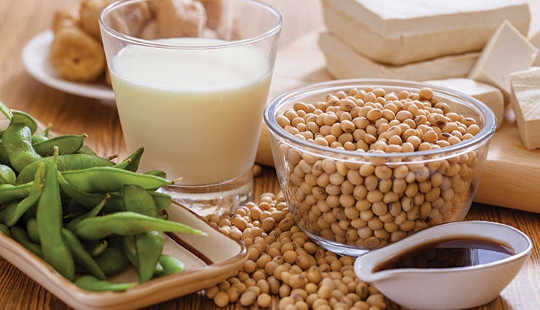 New Research Suggests Soy Protein Could Ease Irritable Bowel Diseases?