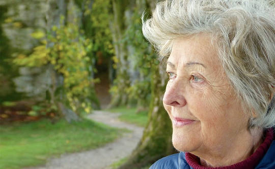 Navigating Life in the Senior Years: Adult Children and their Parents